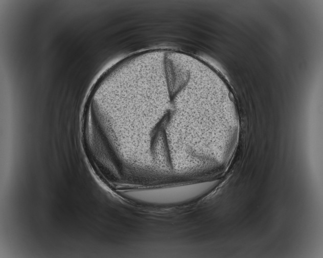 X0000082971135200703020228