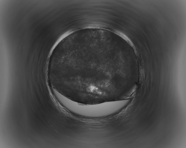 X0000082971138200703020228