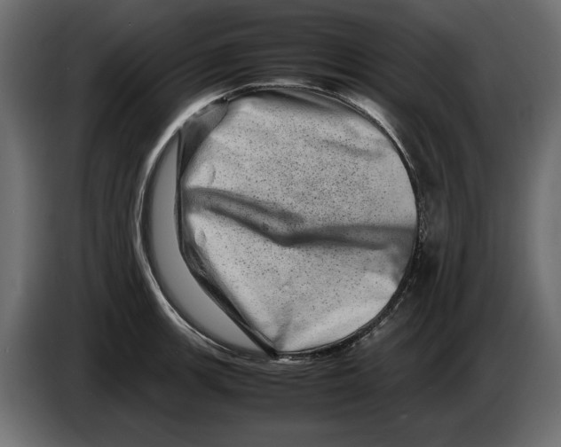 X0000082971139200703020228