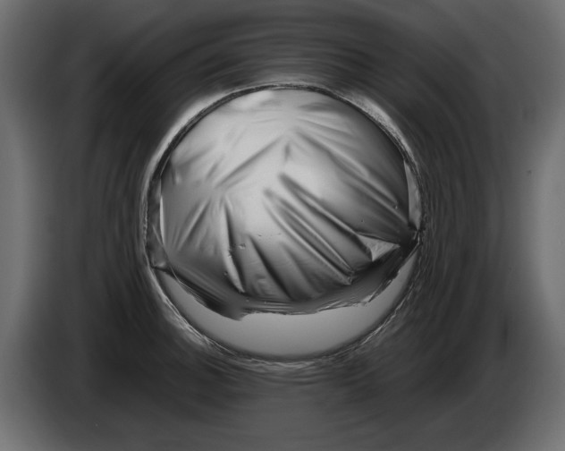 X0000082971140200703020228