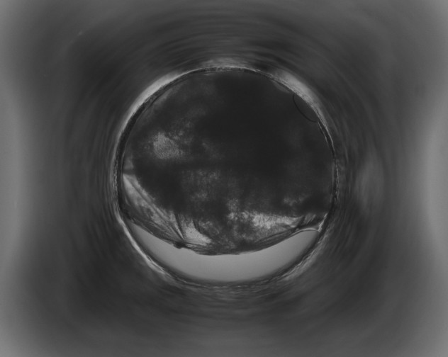 X0000082971141200703020229