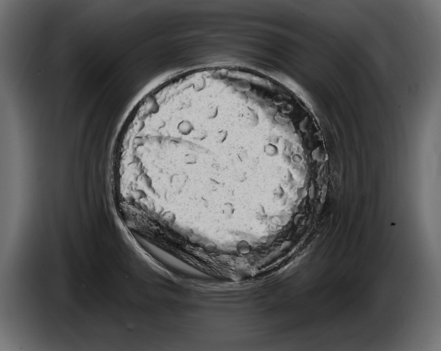 X0000082971142200703020229