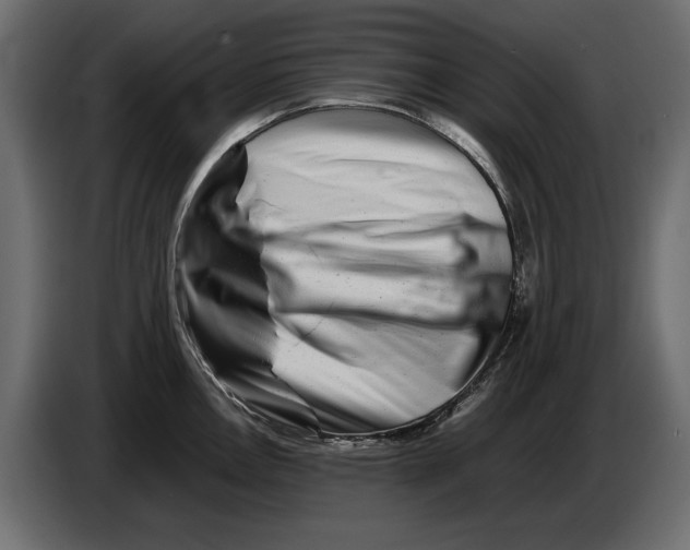 X0000082971146200703020229