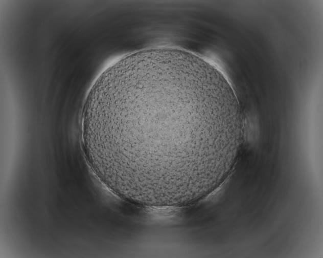 X0000082971150200703020229