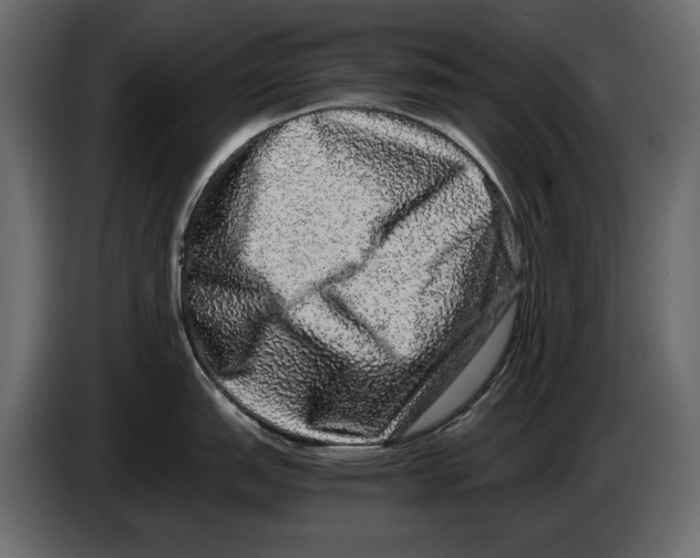 X0000082971151200703020229