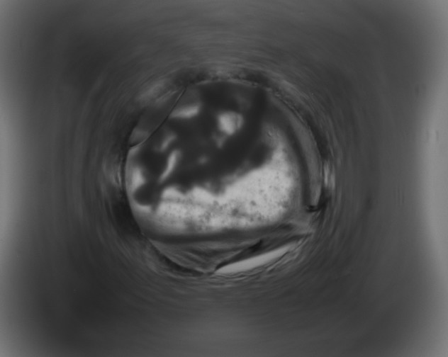 X0000082971155200703020228