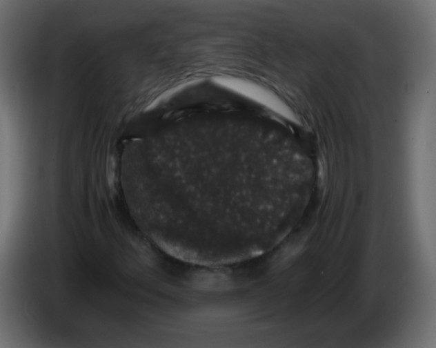 X0000082971156200703020228