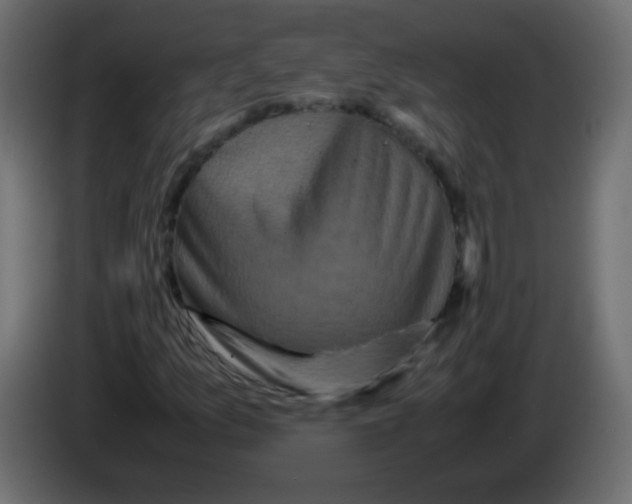 X0000082971157200703020228