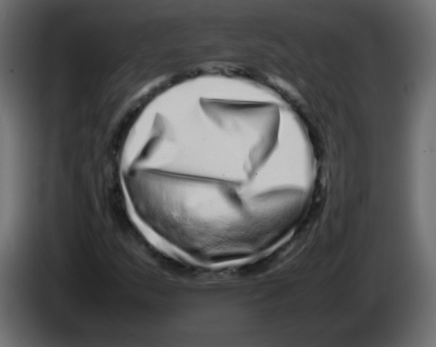 X0000082971159200703020228