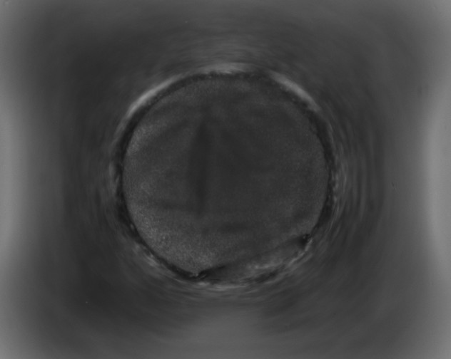 X0000082971160200703020228