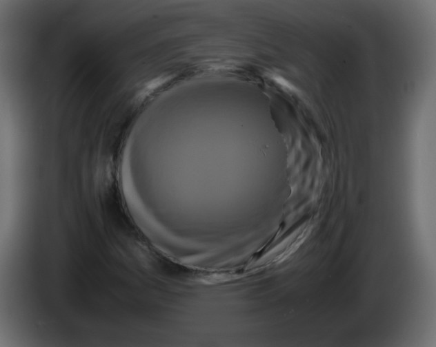 X0000082971161200703020228