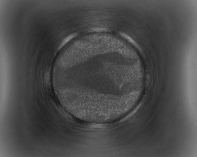 X0000082971162200703020228