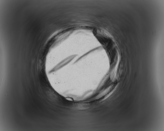 X0000082971163200703020228