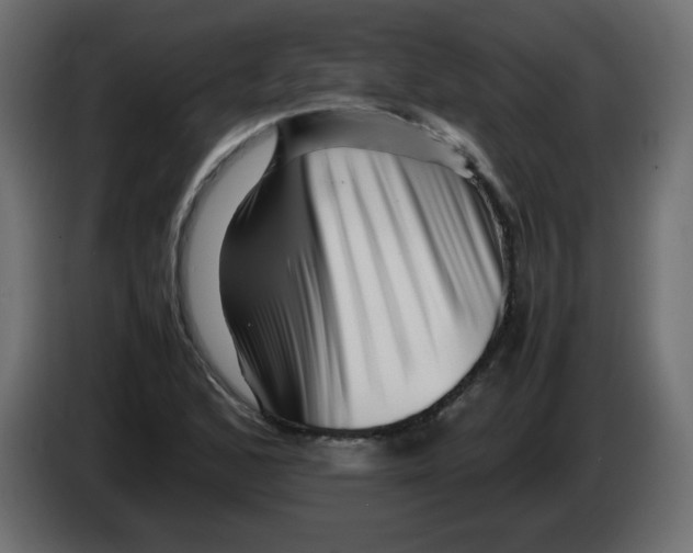 X0000082971168200703020228