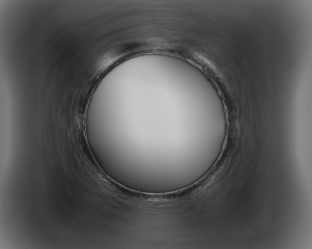 X0000082971169200703020228