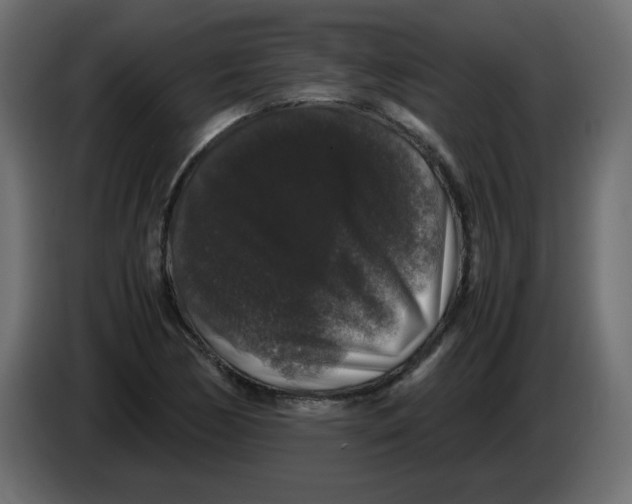 X0000082971170200703020228