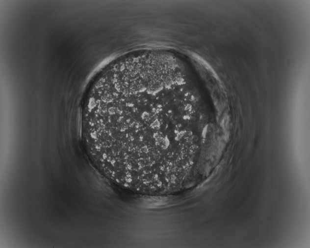 X0000082971171200703020228