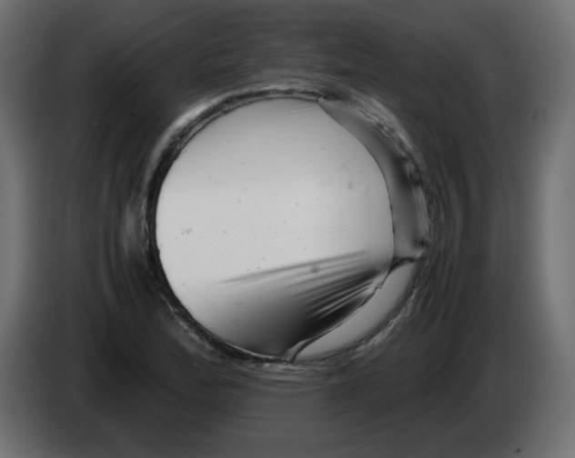 X0000082971172200703020228