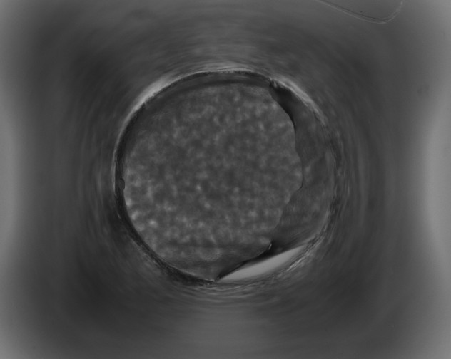 X0000082971173200703020228