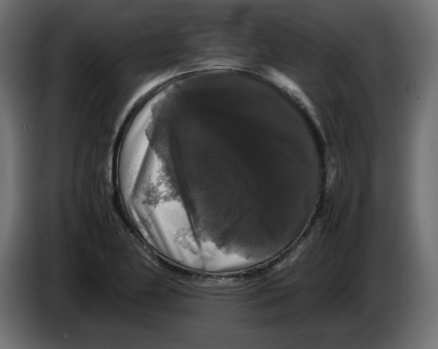 X0000082971174200703020228