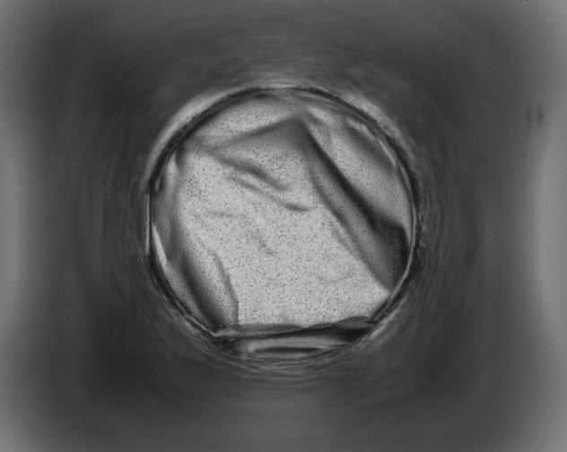 X0000082971175200703020228