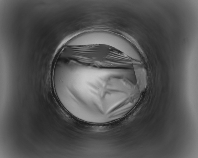 X0000082971176200703020228