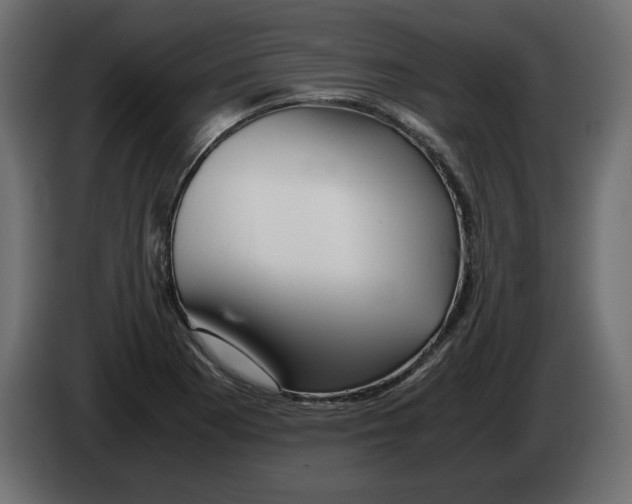 X0000082971177200703020228