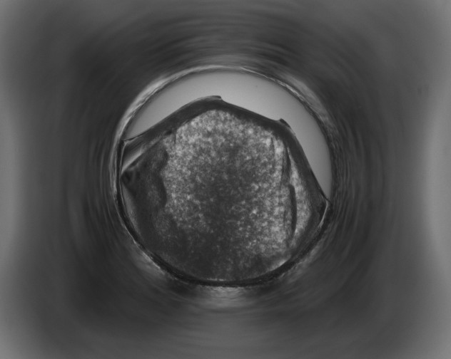 X0000082971180200703020228