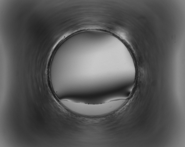 X0000082971181200703020228