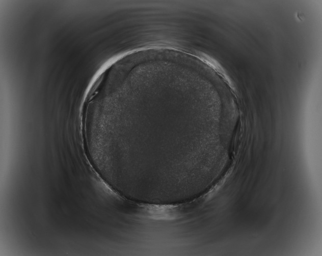 X0000082971184200703020228