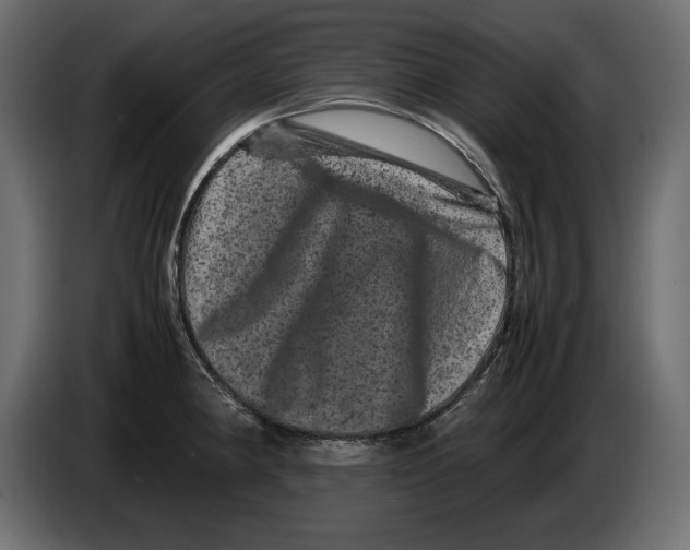 X0000082971190200703020227