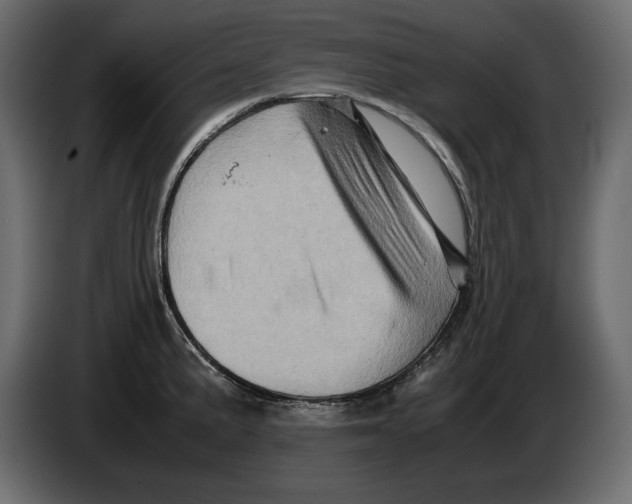 X0000082971191200703020227