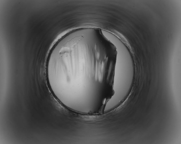 X0000082971192200703020227