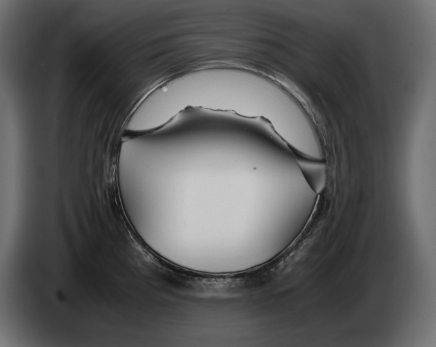 X0000082971193200703020227