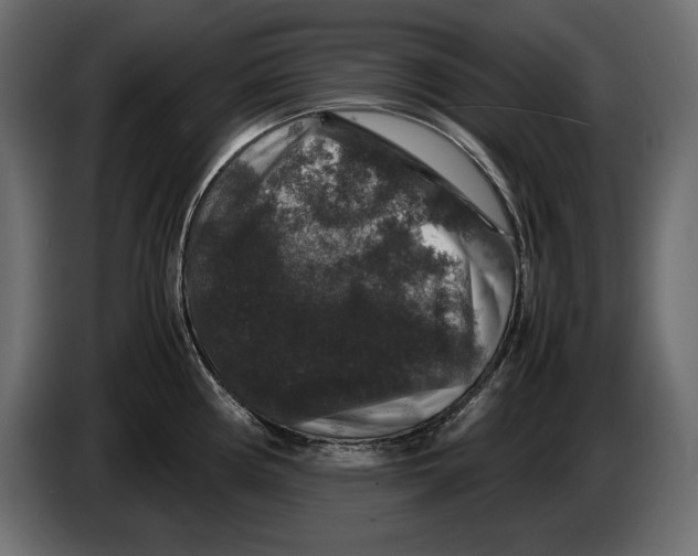 X0000082971194200703020227