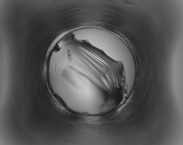 X0000082971196200703020227