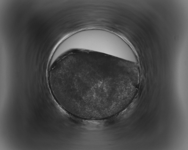 X0000082971197200703020227