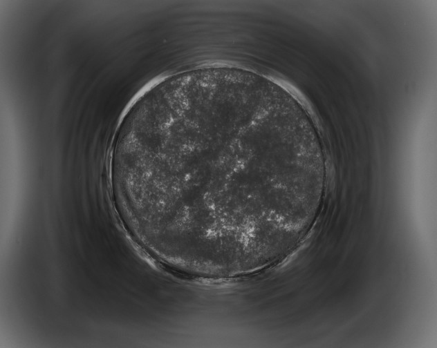 X0000082971198200703020227