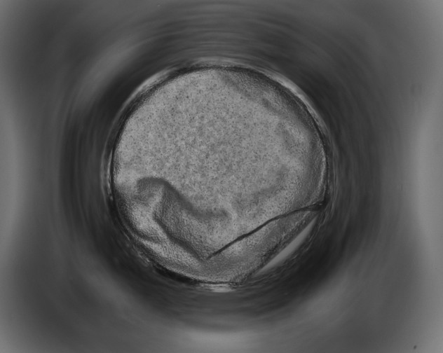 X0000082971199200703020227