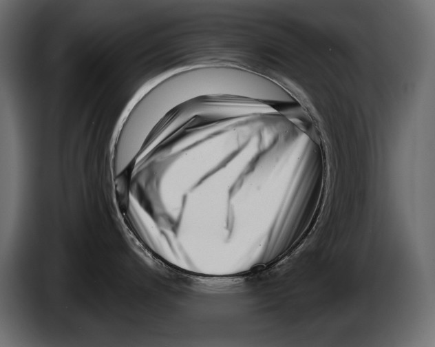 X0000082971200200703020227