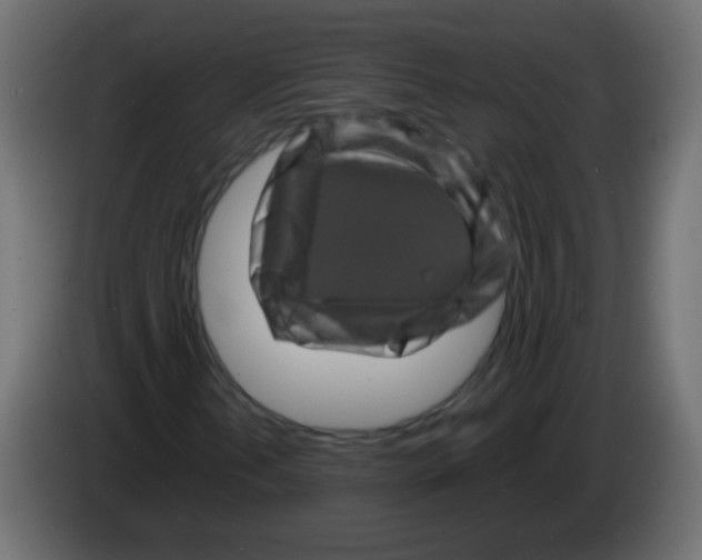 X0000082971202200703020227