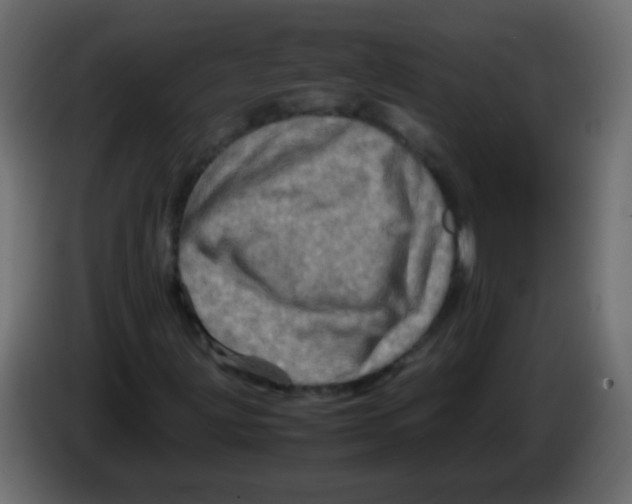 X0000082971203200703020227