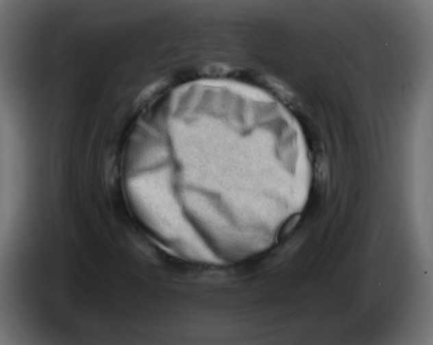 X0000082971204200703020227