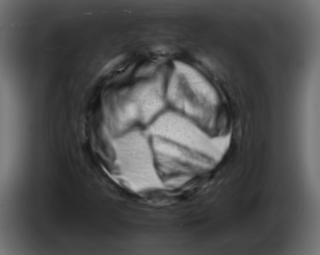 X0000082971205200703020227