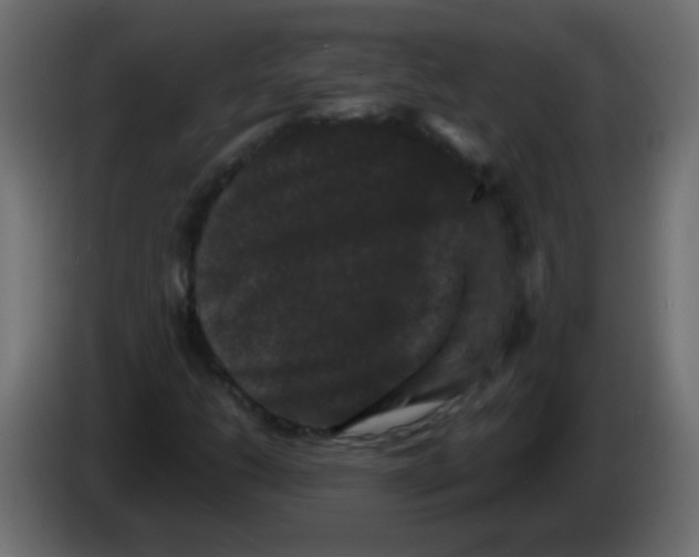 X0000082971206200703020227