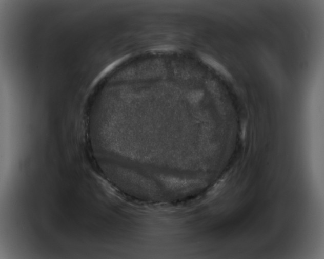 X0000082971208200703020227