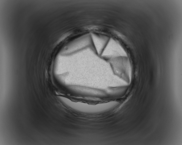 X0000082971209200703020227