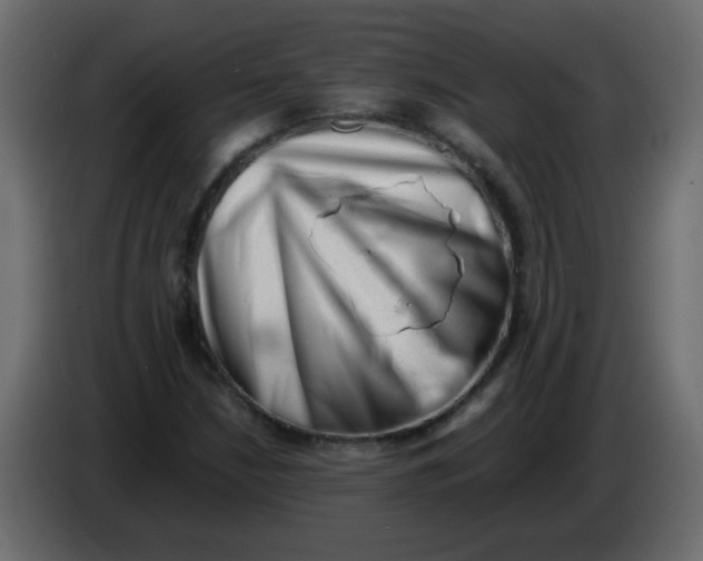 X0000082971210200703020227