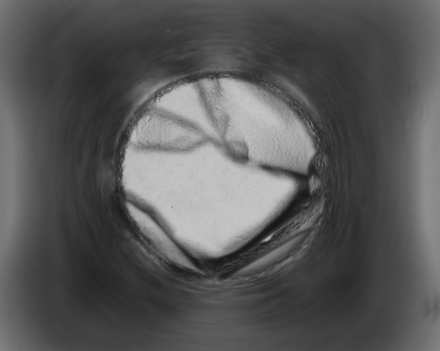 X0000082971212200703020227