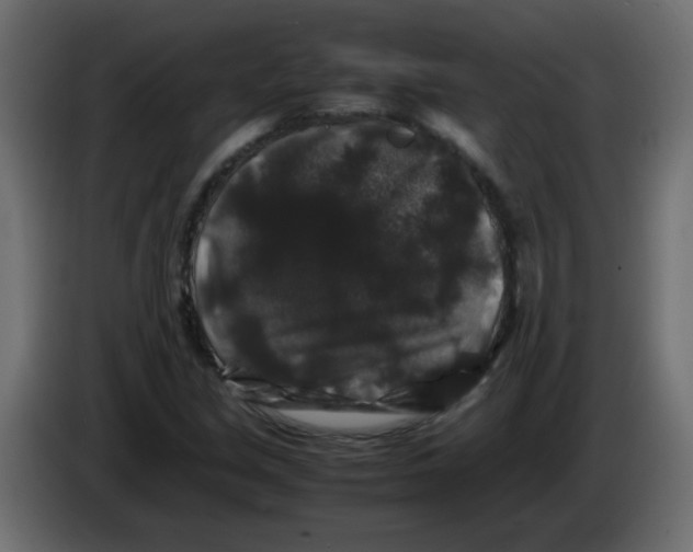 X0000082971213200703020227